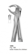  Fig. 73B lower molars for children 